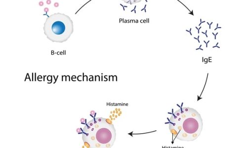 Histamine được phóng thích khi xảy ra tình trạng kích ứng
