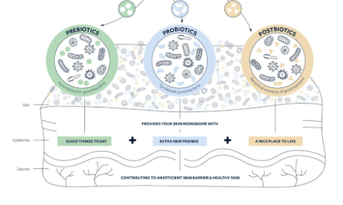 Microbiome Skincare là phương pháp chăm sóc da hướng đến sự bền vững